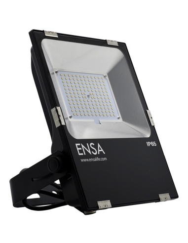 Ensa Professional 80W LED Flood Light (5000K) - LFL-B80-C2