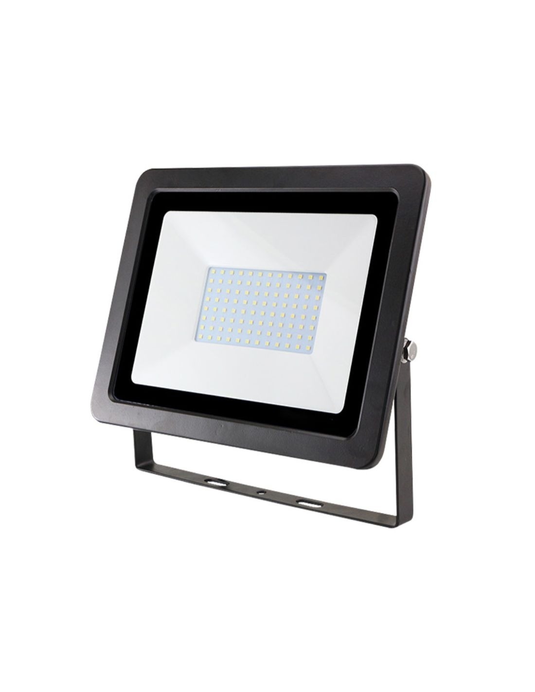 biard 50w led floodlight